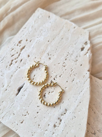 Twisted Hoop Earrings