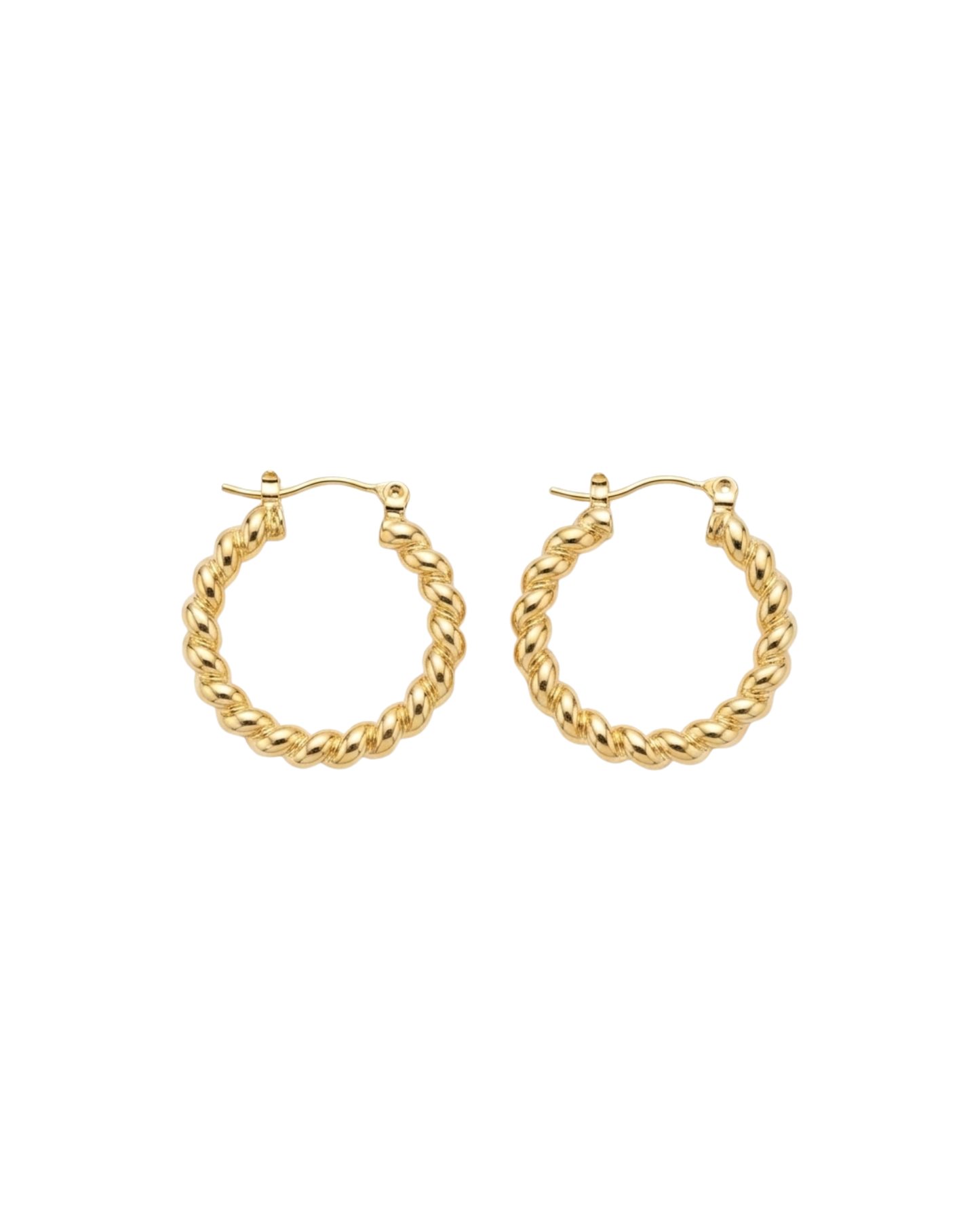 Twisted Hoop Earrings