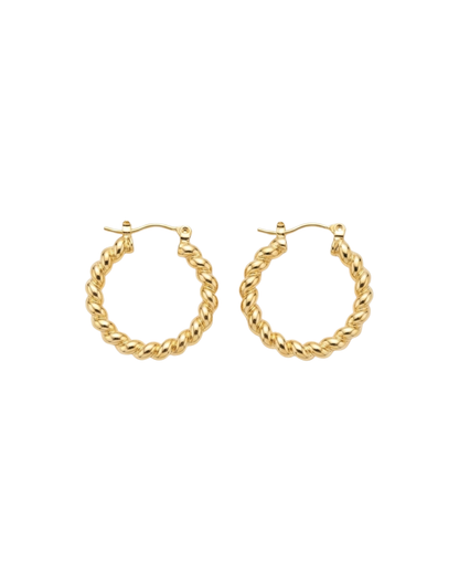Twisted Hoop Earrings