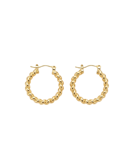 Twisted Hoop Earrings